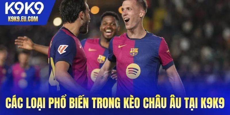 Các loại phổ biến trong kèo châu Âu tại K9K9