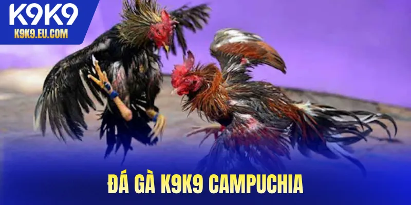 Đá Gà K9K9
